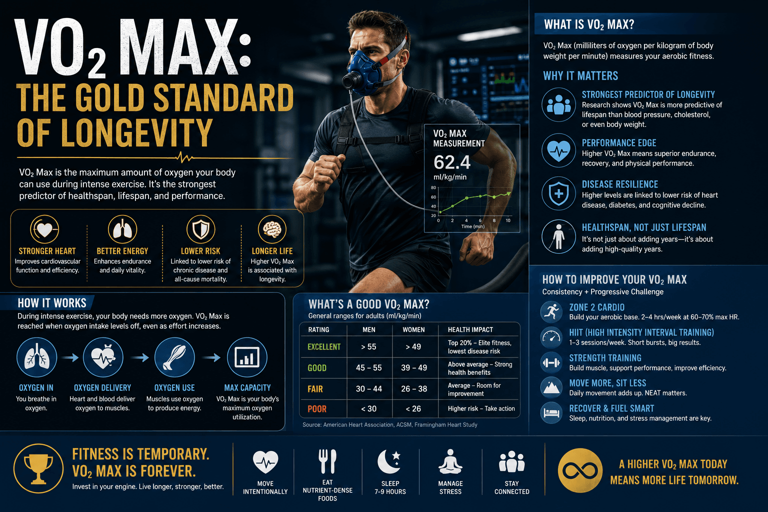 VO2 Max: The Gold Standard of Longevity