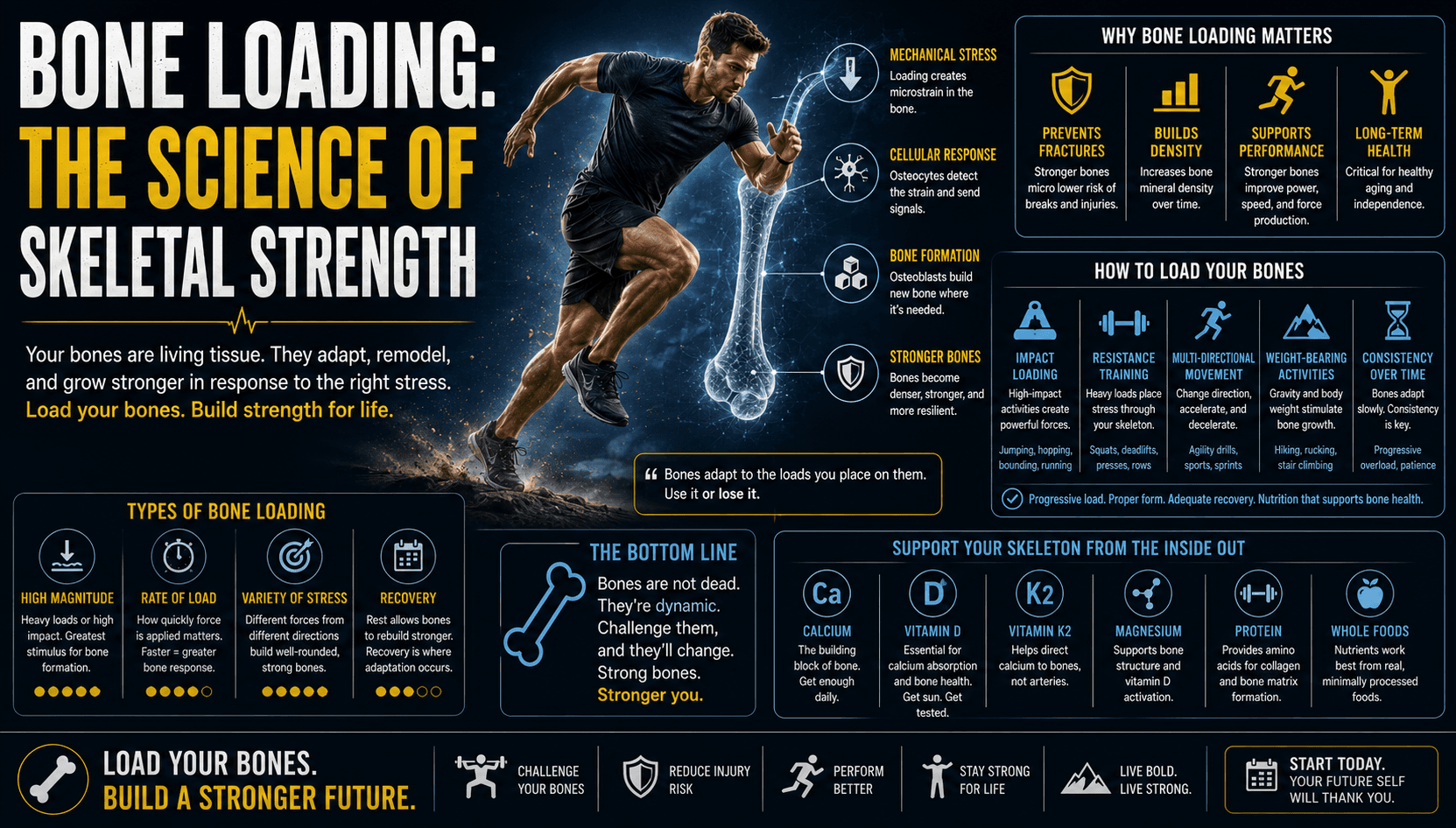 Bone Loading: The Science of Skeletal Strength